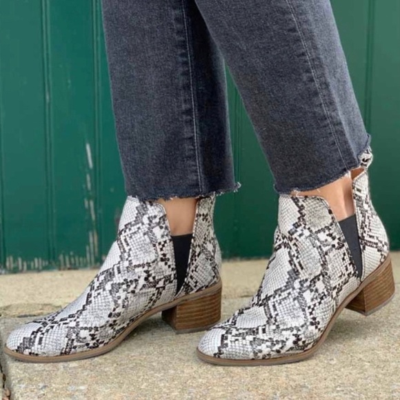 NWT Dr. Scroll’s Snake Slip On Booties - Picture 2 of 5